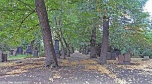Alter Kirchhof der St. Nikolai- und St. Mariengemeinde; Berlin, Pankow