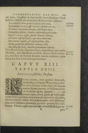 Caput XII. Tabula XXIII.