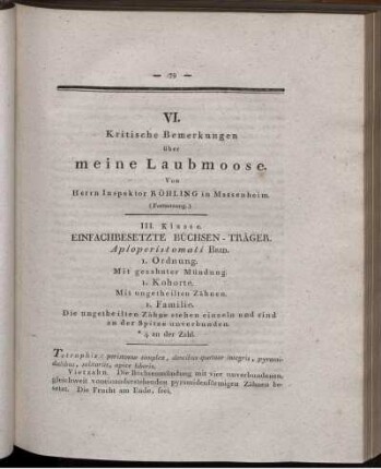 VI. Kritische Bemerkungen über meine Laubmoose.