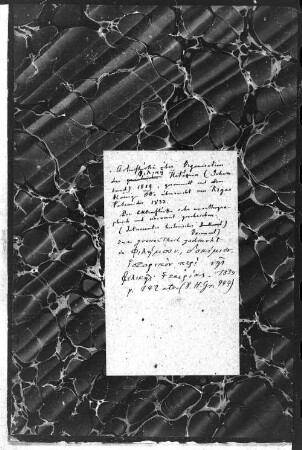 Aktenstücke der Philike Hetairia (mit Transkriptionen) - BSB Cod.graec. 596