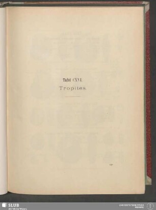 Tafel CXVI. Tropites