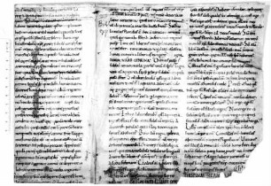 Commentum in Cantica canticorum - BSB Clm 29448(1