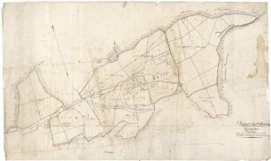 Oberforstamt Odenheim. Mühlhaeuser Forst. Plan Lit. C. Der Herrschafftl. Schlehenberg-Wald. Ein Theil der Oestringer Gemeinds-Waldungen