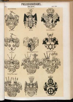 Taf. 249. Kistowski. - Kitzing. - Klass. - Klätte. - Klein. - Kleinsorge. - Keist. - Kleist v. Bornstedt. - Rüchel-Kleist. - Kleist-Retzow. - Kleman. - Klencke