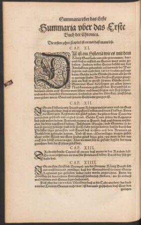 Summaria uber das Erste Buch der Chronica.