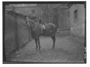 Die Tochter der Fotografin auf einem Reitpferd