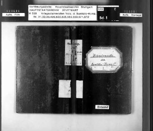 Kriegsstammrolle der Sanitätskompanie Nr. 31