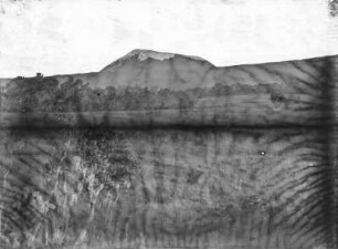 Landschaft mit Kilimandscharo : Die Waldgrenze am Fuße des Kilimandscharo, der sich im Hintergrund erhebt