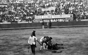 Barcelona [Spanien]: Stierkampf, Todesstoß