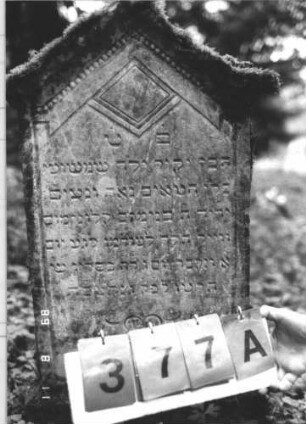 Grabstein 377 (Index: 99799674) Material: Sandstein Zustand: verwittert, Giebel angeschlagen Maße HxBxT: 93x49x12 cm Beschreibung: Stele, Giebelabschluß mit Verdachung, Schriftfeld eingetieft, Sockel Symbolik: Perlstab, geometrische Gestaltung Besonderheit: Kindergrab: Grabstein 377A