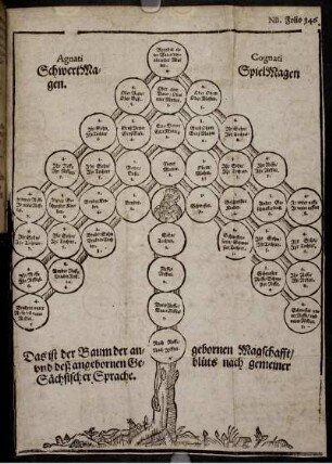 Illustration "Das ist der Baum der angebornen Magschafft/ und deß angebornen Geblüts nach gemeiner Sächsischer Sprache"