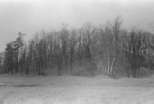 Schanze (Burgwall) in Rackel : Hrodźišćo w Rakojdach : Rackel / Rakojdy
