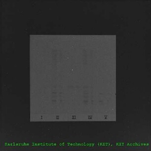 Chromatografie-Ergebnisdarstellung am Institut für Radiochemie (IRCh)