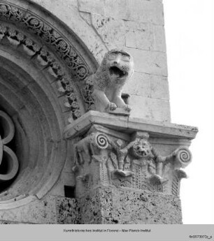 San Cerbone, Duomo, Massa Marittima