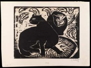 Katzen II
