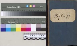 Konzertprogramme von Julius Otto Grimm 1878 - 1879