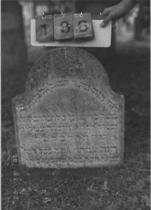 Grabstein 186 (Index: 100009076) Zustand: eingesunken, leicht verwittert Maße HxBxT: 60x52x11 cm: Grabstein 186
