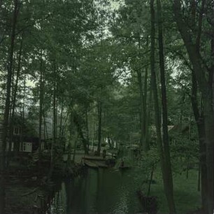 Spreewald : Kanal im Spreewald