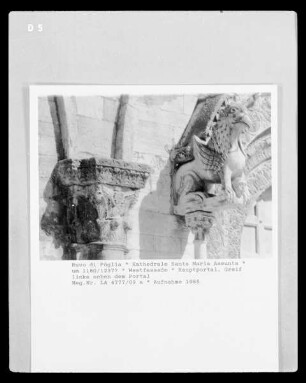 Santa Maria Assunta — Statue