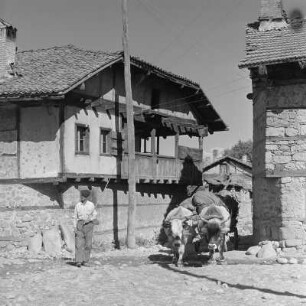 Alltagsbild. Bauer mit Ochsengespann unterwegs in Bansko