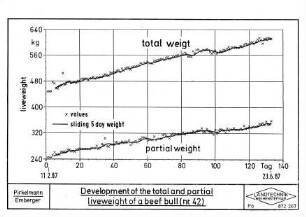 Development of the total and partial liveweight of a beef bull (no. 42)