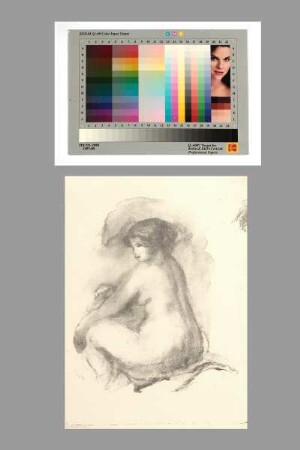 Sitzender weiblicher Akt I (Etude de femme nue, assise)