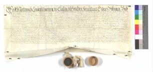 Bestandbrief von der Klause Welden für Michael Betz zu Heufelden über ein Hofgut.