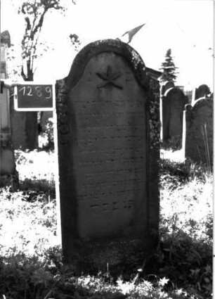 Grabstein 1289 (Index: 100104541) Material: Sandstein Zustand: leicht verwittert Maße HxBxT: 175x70x20 cm Beschreibung: Stele mit Konvexbogenabschluss, Schriftfeld eingetieft, im Bogenfeld Blüte, auf den seitlichen Rahmen Scheibenfries Symbolik: Blüte, Scheibenfries: Grabstein 1289