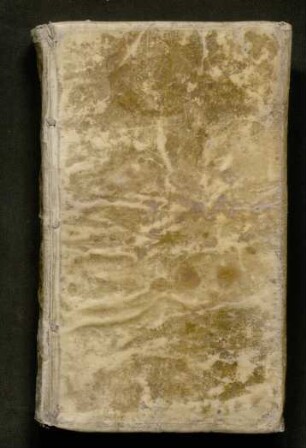 Summa Summae Theologiae Scholasticae