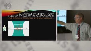 What Can You Learn From Single Molecules, Even When Trapped Without Optical Forces?