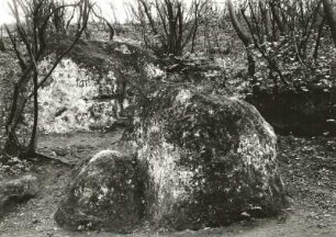 Plauenscher Grund."Muschelfelsen" der Klippenfacies (Cenoman-turone Übergangsphase) zwischen Coschütz und Heidenschanze