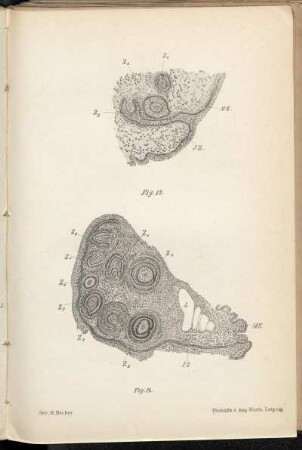 Fig. 13. [-] Fig. 14.