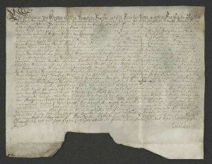 1744 Sept. 28. Fürstl. lipp. Lehnsbrief für Kleinsorgen über den Spiegelberg etc.