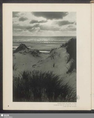 Sinkende Sonne über Düne und Meer