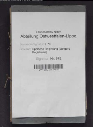 Verwendung des auf Lippe entfallenden Anteils an den französischen Kriegskostenentschädigungen, Band 1