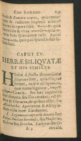 Caput XV. Herbae siliquatae Et His Similes.