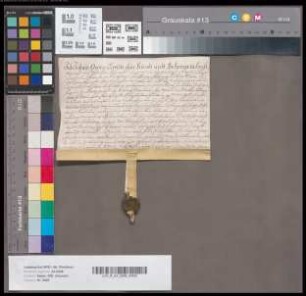 Johan Georg Erwitte reversiert über die Belehnung des Franz Bernard Heinrich Anton von Vittinghoff mit dem Rittersitz Ripshorst. - Es siegelt der Aussteller.