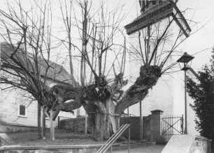 Tanzlinde; Waldsolms, Kirchgasse