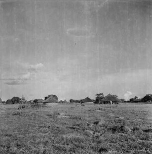 Dorfbild : Häuser eines Dorfes in der Region Shinyanga