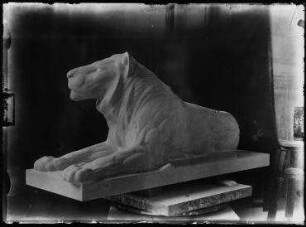 Ohne Titel (Im Atelier von August Gaul: Skulptur eines liegenden jungen Löwen, halb nach links gewand)