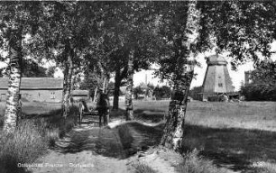 Prerow. Dorfpartie mit Holländermühle, Ansichtskarte
