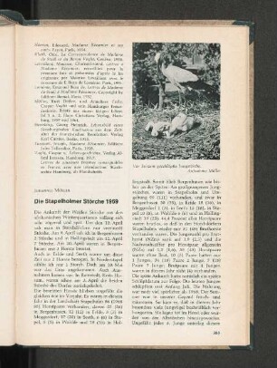 Die Stapelholmer Störche 1969