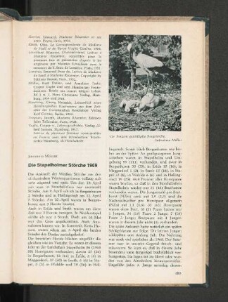 Die Stapelholmer Störche 1969