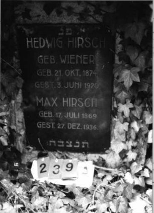 Grabstein 239 [Hahn S. 66 Grab-Nr. 398]: Grabstein 239A [Hahn S. 66 Grab-Nr. 398]