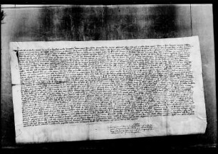 Berthold von Renhardswiler, Domherr zu Augsburg und Kirchherr zu Kirchheim, beurkundet die Statuten der neuerrichteten Marienbruderschaft des Landkapitels.