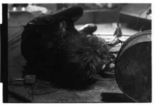 Einstürzende Neubauten 20.01.1985 IV N1