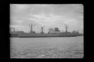 Natal (1953), DAL.- Deutsche Afrika-Linie, Deutsche Afrika Linien GmbH & Co., Hamburg