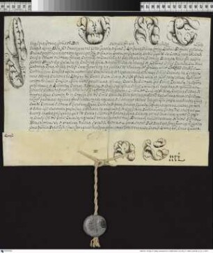 Aussteller: Pius VI. Empfänger: Antoni Kazimierz Ostrowski, Erzbischof von Gnesen. Betreff: Erhebung des Grafen Johann Nepomuck Karl von Hohenzollern-Hechingen zum Bischof von Dibona [Dibon / Dhiban in der römischen Provinz Syria Palaestina] und zum Coadjutor c.i.s. des Andrzej Ignacy z Broniewic Baier, Bischof von Kulm.