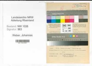 Entnazifizierung Johannes Weber , geb. 06.01.1886 (Finanzbeamter)