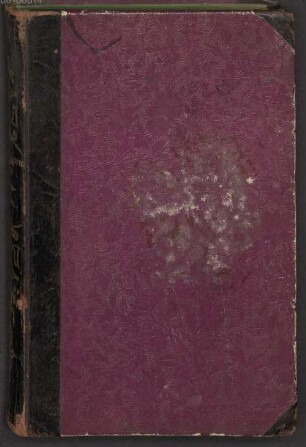 Julius Grosse (1828-1902) Nachlass: Felsblumen und Epheuranken. Band 2 - BSB Grosseana Suppl. A.II.1.5